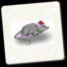 christmasMouse.jpg